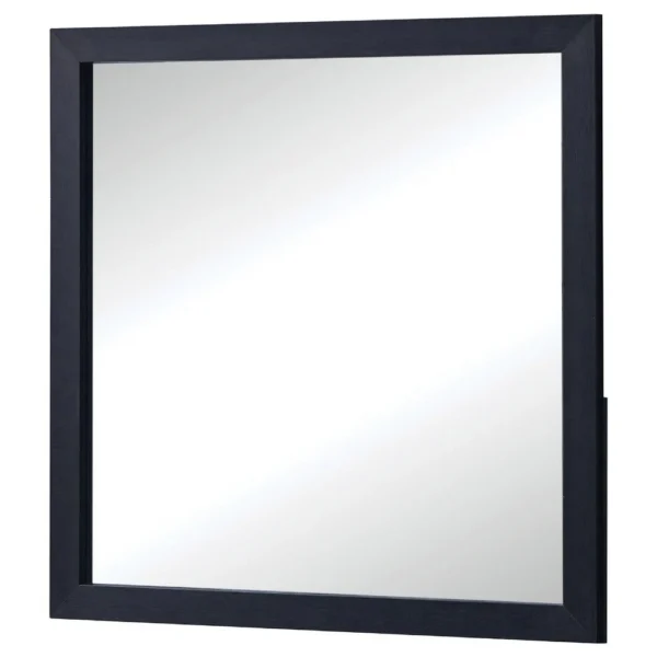 BM338141_2_576c33e2-9f8d-436c-9e75-dc262184687e Dex Rectangular Dresser Mirror, Non-Beveled Glass, Black Wood-Melamine