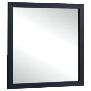 Dex Rectangular Dresser Mirror, Non-Beveled Glass, Black Wood-Melamine