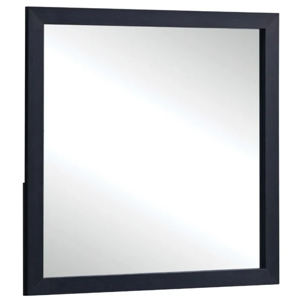 BM338141_44ebaccf-edc6-41cf-b9fa-536b7b3701b8 Dex Rectangular Dresser Mirror, Non-Beveled Glass, Black Wood-Melamine