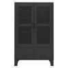 Coy Tall Storage Cabinet, 2 Drawers w 2 Mesh Front Doors, Metal Frame, Black