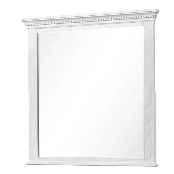 Leyne Dresser Mirror, Bevel Glass, Weathered Gray Solid Wood, 40 Inch