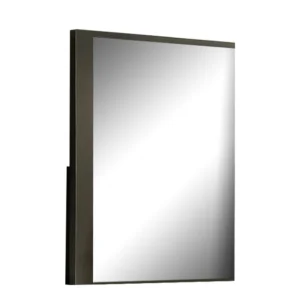 Kena Vanity Dresser Mirror, 2 Tone Metallic Gray Asymmetrical Frame