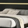 Yoki Full Size Bed w Underbed LED, Acrylic Gold Trim, Black Frame