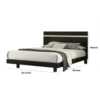 Yoki Queen Size Bed w Underbed LED, Acrylic Gold Trim, Black Frame