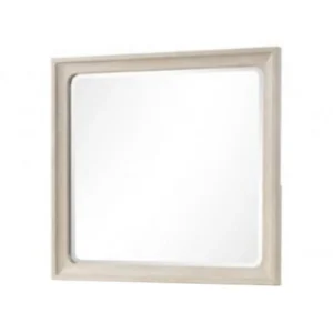 Rozie Dresser Mirror, Bevelled Accents, Light Brown Solid Wood 36x40