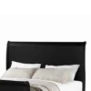 PDX-F9230T_3 Classy Twin Bed,Black