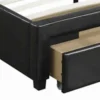 PDX-F9313Q_1 Captivating Queen Bed WithDrawer,Black Pu