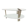 36 Inch Modern Coffee Table, Oval Elliptical Shape, White Mango Wood With Antique Brass
