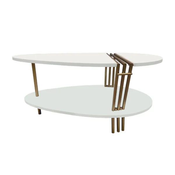 36 Inch Modern Coffee Table, Oval Elliptical Shape, White Mango Wood With Antique Brass