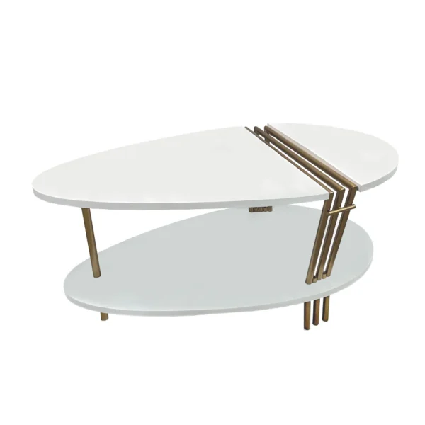 36 Inch Modern Coffee Table, Oval Elliptical Shape, White Mango Wood With Antique Brass