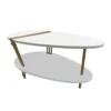 36 Inch Modern Coffee Table, Oval Elliptical Shape, White Mango Wood With Antique Brass