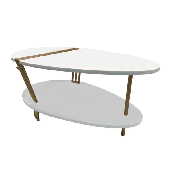 36 Inch Modern Coffee Table, Oval Elliptical Shape, White Mango Wood With Antique Brass