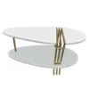 36 Inch Modern Coffee Table, Oval Elliptical Shape, White Mango Wood With Antique Brass