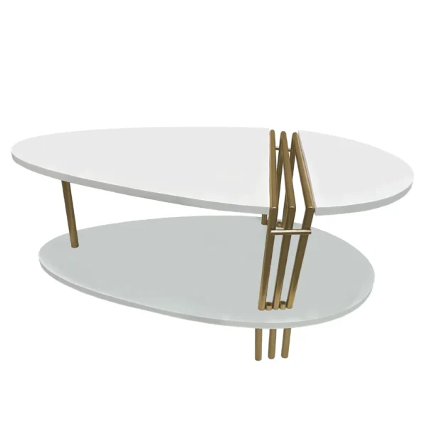 36 Inch Modern Coffee Table, Oval Elliptical Shape, White Mango Wood With Antique Brass