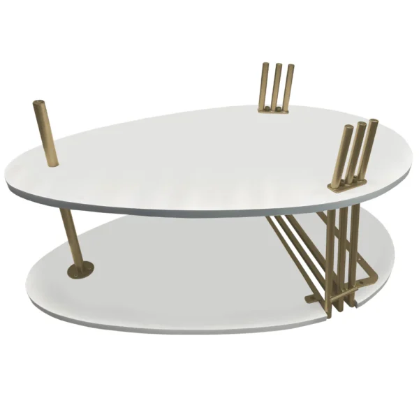 36 Inch Modern Coffee Table, Oval Elliptical Shape, White Mango Wood With Antique Brass