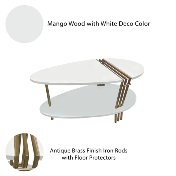 36 Inch Modern Coffee Table, Oval Elliptical Shape, White Mango Wood With Antique Brass