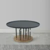 Neci 31 Inch Coffee Table, Round Matte Black Tray Top, Modern Rod Supports with Brass Base