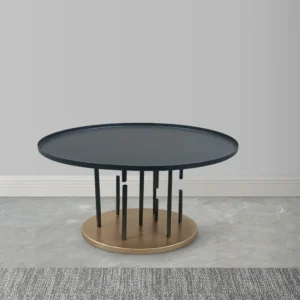 Neci 31 Inch Coffee Table, Round Matte Black Tray Top, Modern Rod Supports with Brass Base