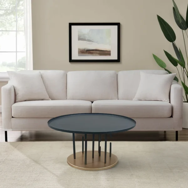 Neci 31 Inch Coffee Table, Round Matte Black Tray Top, Modern Rod Supports with Brass Base