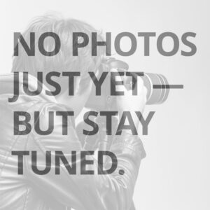 no-photo Slick Finish Faux Marble & Pine Wood Dining Table, Brown