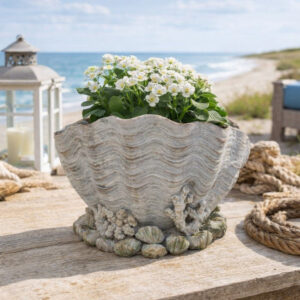 Coastal Clam Shell Planter w Coral Accents, Weathered Gray Terracotta