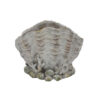 Coastal Clam Shell Planter w Coral Accents, Weathered Gray Terracotta