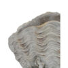 Coastal Clam Shell Planter w Coral Accents, Weathered Gray Terracotta