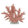 300620266a441e405cec6.jpeg Coral Tabletop Decoration, Pink Resin with Acrylic Base, 13 Inch