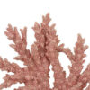 300620266a441e4342f22.jpeg Coral Tabletop Decoration, Pink Resin with Acrylic Base, 13 Inch