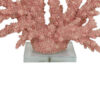 300620266a441e4578963.jpeg Coral Tabletop Decoration, Pink Resin with Acrylic Base, 13 Inch
