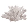 300620266a442ec9ed4e1.jpeg Lily 9 Inch Faux Coral Accent Figurine, Polyresin Tabletop Sculpture, White