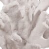 300620266a442ed99ba26.jpeg Lily 9 Inch Faux Coral Accent Figurine, Polyresin Tabletop Sculpture, White