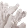 300620266a442ee53b9b5.jpeg Lily 9 Inch Faux Coral Accent Figurine, Polyresin Tabletop Sculpture, White