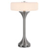 Table Lamp, USB Ports, Frosted White Glass Shade, 22 Inch Brushed Steel