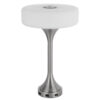 Table Lamp, USB Ports, Frosted White Glass Shade, 22 Inch Brushed Steel