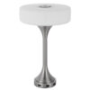 Table Lamp, USB Ports, Frosted White Glass Shade, 22 Inch Brushed Steel